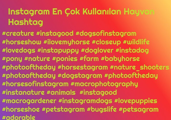 Instagram En Çok Kullanilan Hayvan Hashtag