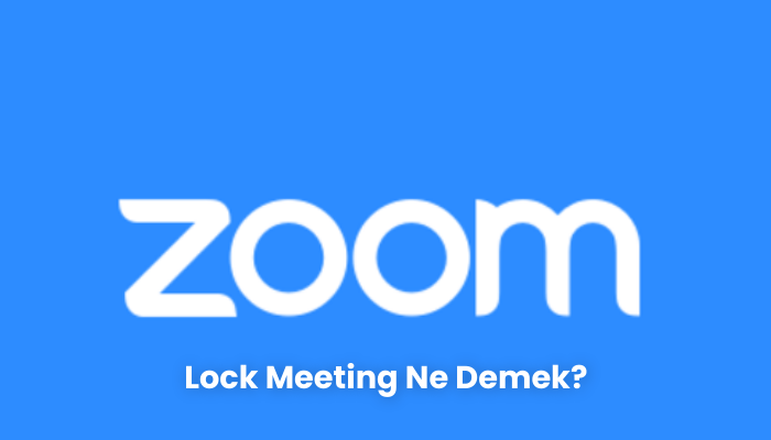 Lock Meeting Ne Demek