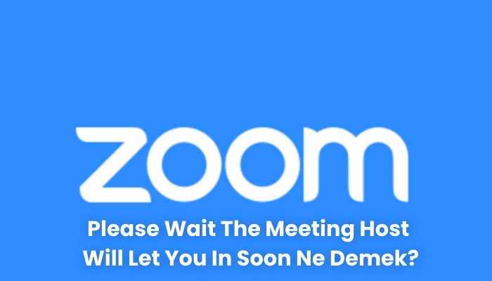 Please wait the meeting host will let you in soon ne demek