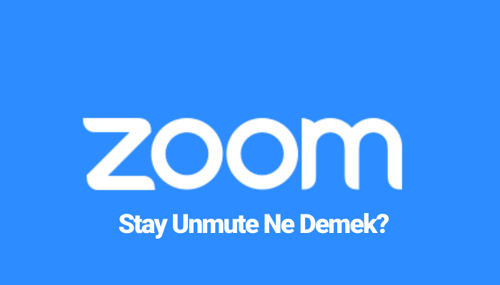Stay Unmute Ne Demek