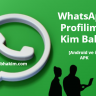 WhatsApp Profilime Kim Bakti