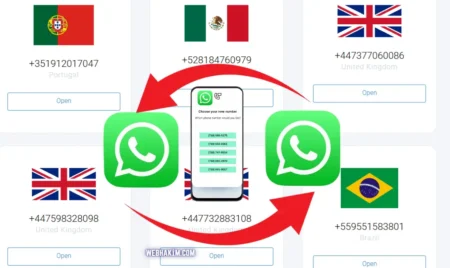 whatsapp fake no alma